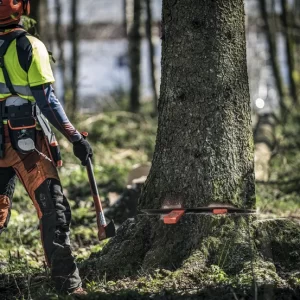 Forestry Tools and Axes